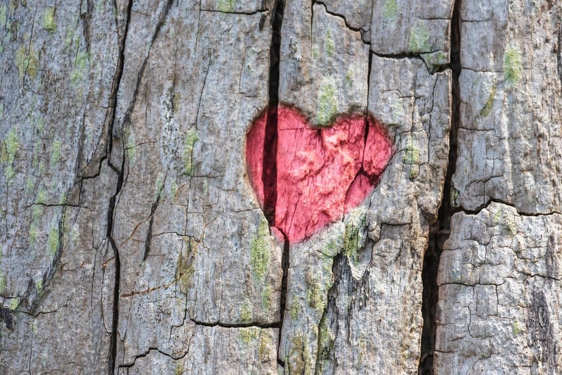 Heart